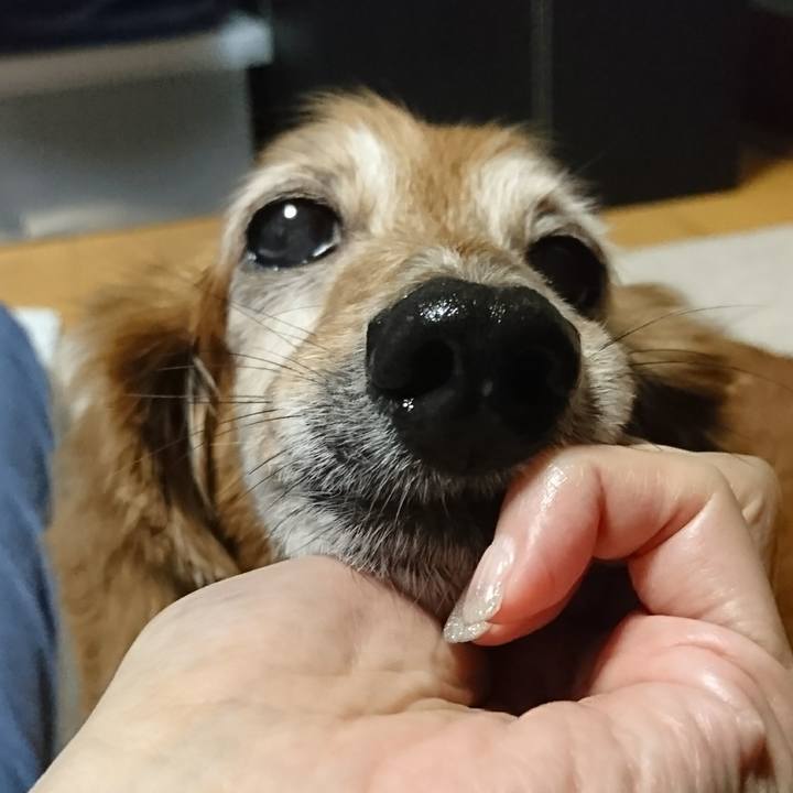 D6d62172 d89d 403b 9ba8 2d5828a7013c 1508667422301