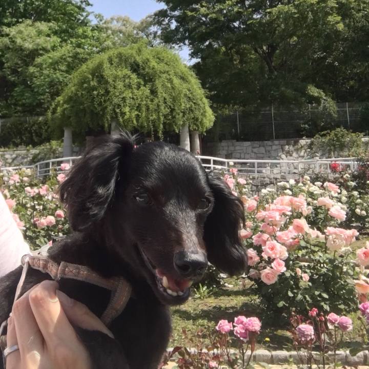 D6d631c9 713d 4517 b606 f2ce458b2ca0 1591332417842