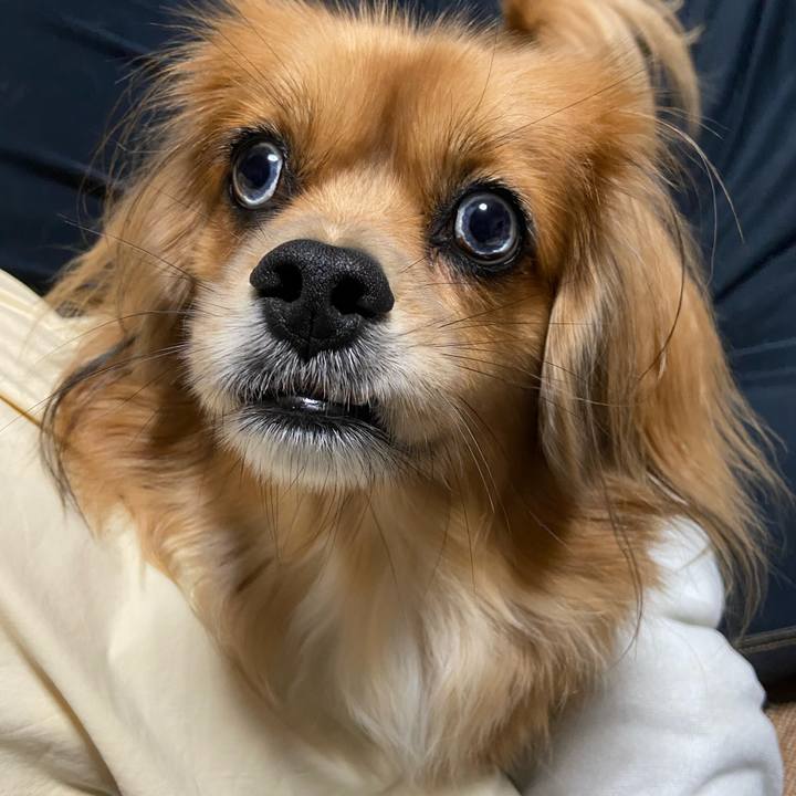 D6d635a4 4069 4fb3 a61b 3ce0b36c2cae 1602933283633