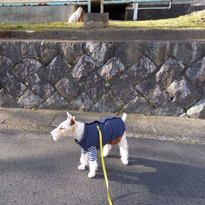 D6d6495a 8536 45d9 8988 773b7a9183d2 1644112081092