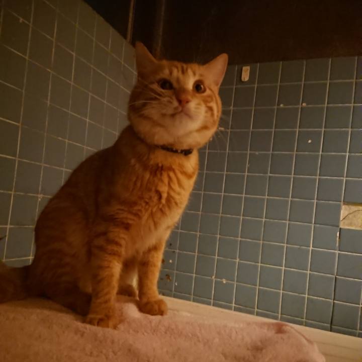 D6d65f97 97cc 49c8 9866 f77fe69665a6 1645093855399