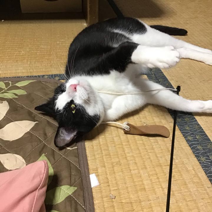 D6d65fb8 63f9 4381 acc9 adde0d76494c 1685358104280