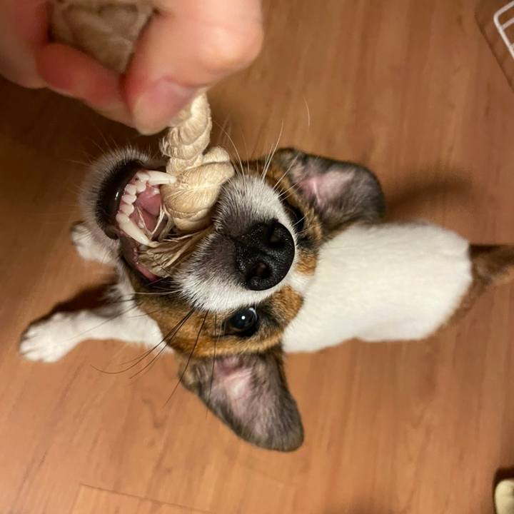 D6d6739c ec8e 4df0 bd80 31008ddaa184 1628552291923