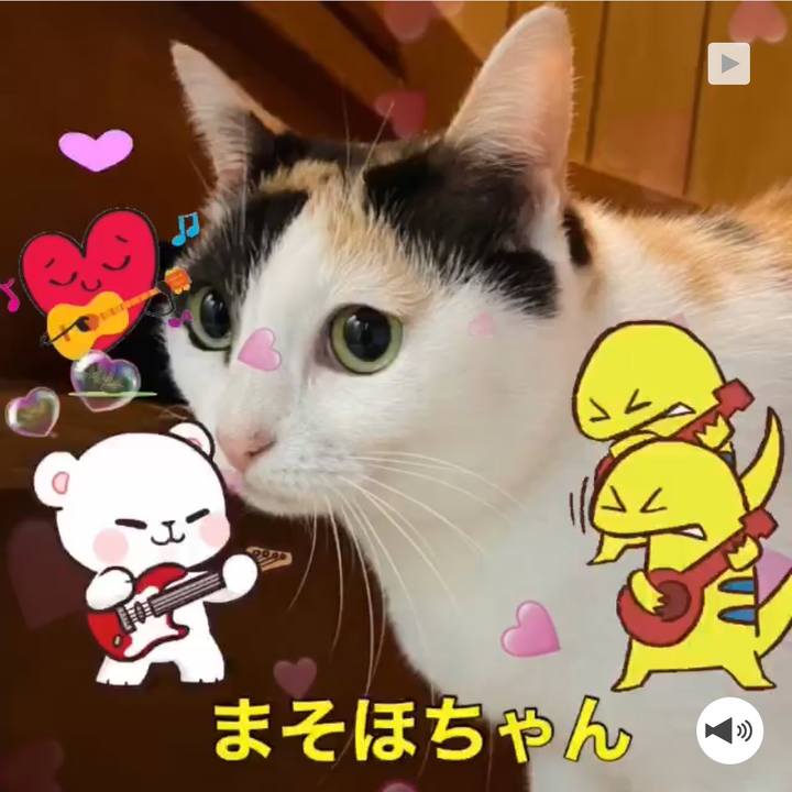 D6d6c3af ae58 481d a8dd 87a310953fb1 1641950640562