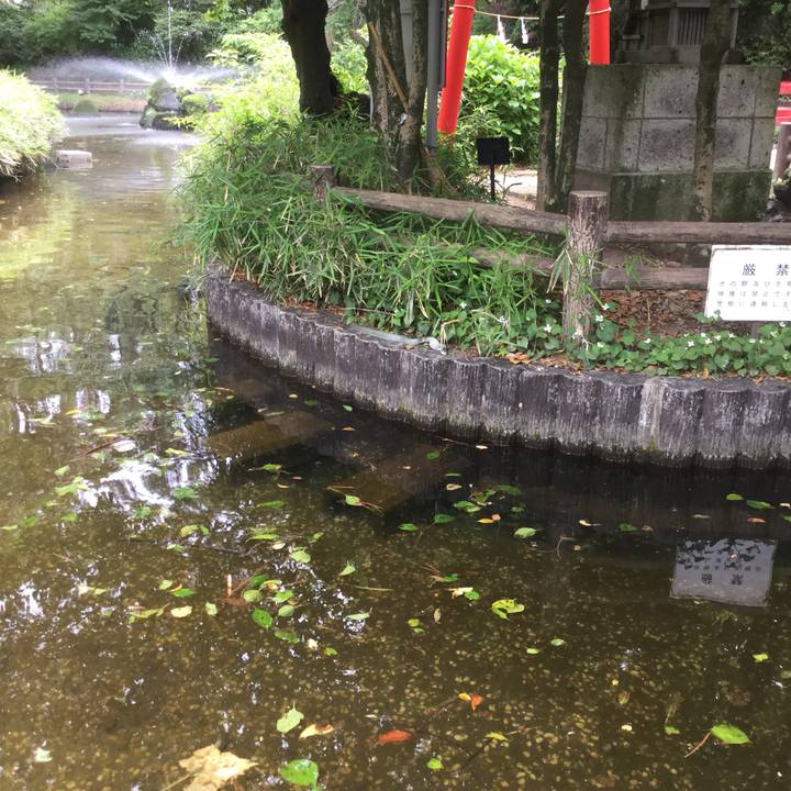 D6d6e752 da69 4522 a36e c7fc80042725 1559287981640