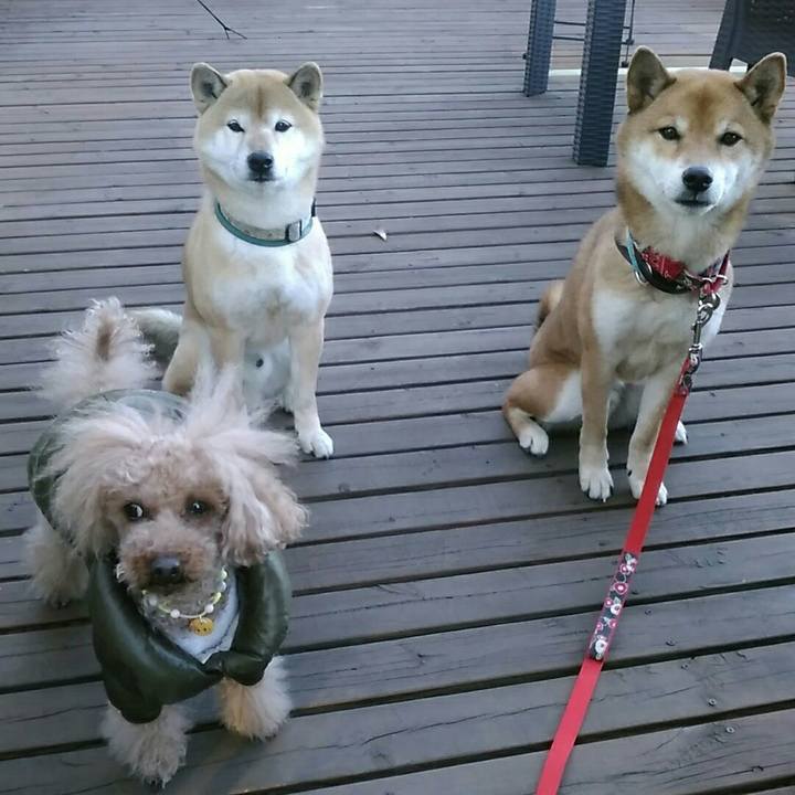 D6d6e95f cf41 42b9 b1fa 73f34865ef71 1546853824462