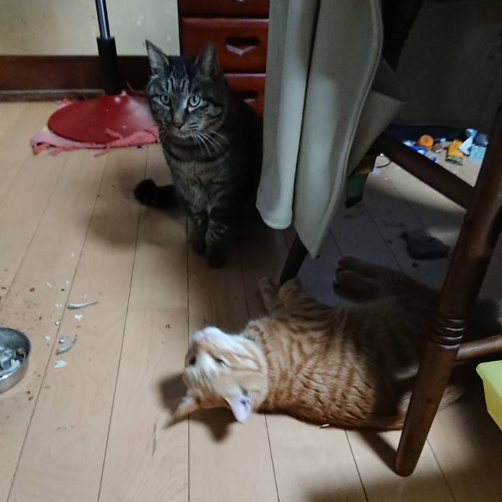 D6d7053e d95b 4e4f b748 39738e85a0df 1642674639547