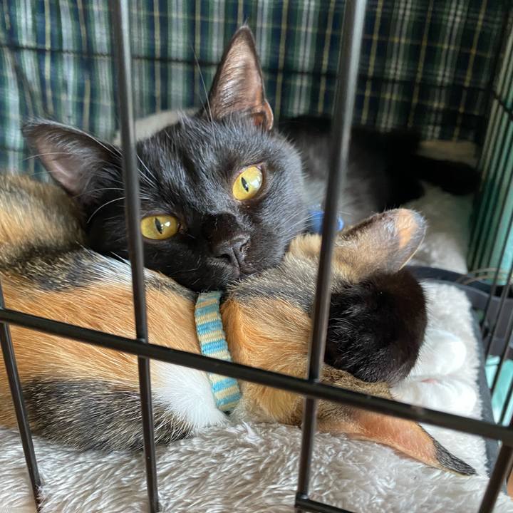 D6d71a49 a932 449a 8d83 7b2319c3aff2 1729321870648