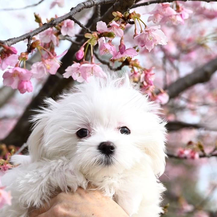 D6d72b92 22b9 4945 87c1 68cc8cd702c1 1709793908468