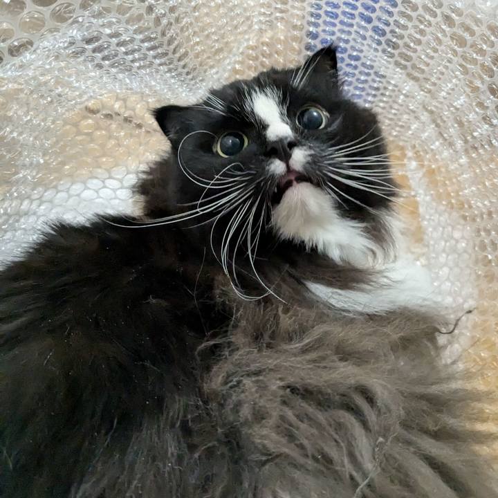 D6d72c09 48ea 489e bb71 59d8a3e76c75 1735911902124