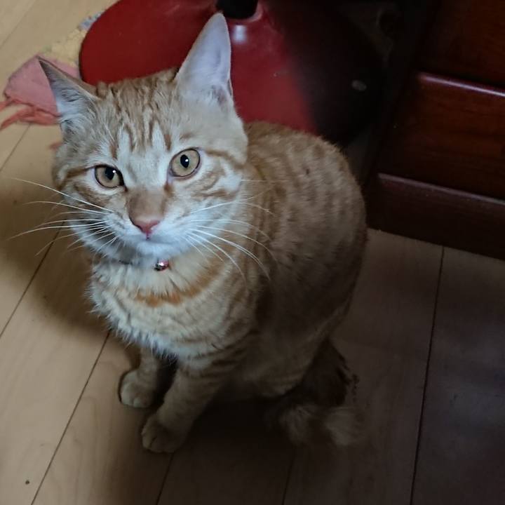 D6d72fd0 983d 428c b4d2 9b3269e13ad2 1646302908843