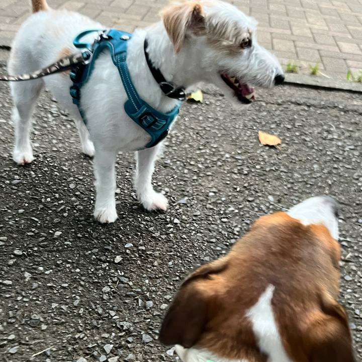 D6d74653 354e 4000 84f4 ccdab1418d21 1725320539494