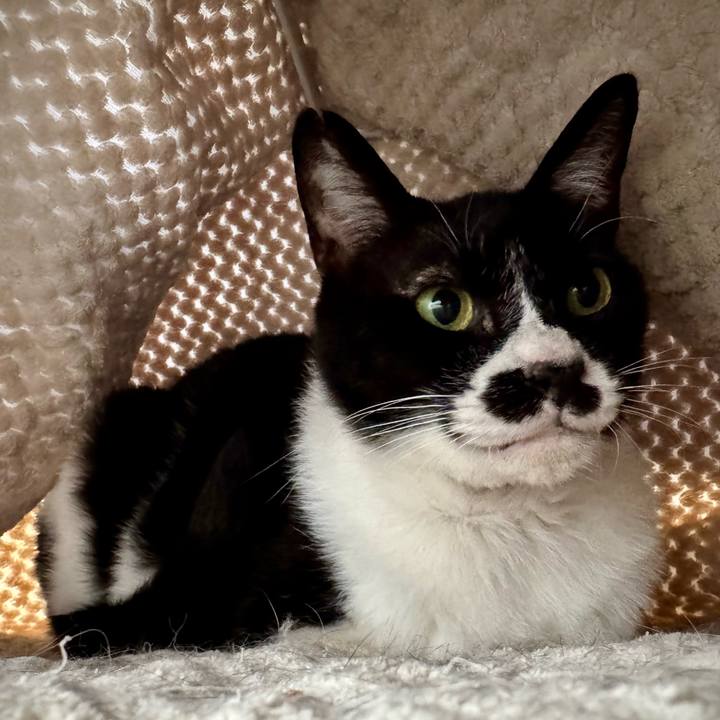 D6d76aa5 d28b 4c1a 8da4 cdc73f4b85da 1748312328353