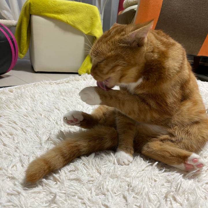 D6d77259 8d69 46b9 828f ad9f6f6a8ba1 1624098776941