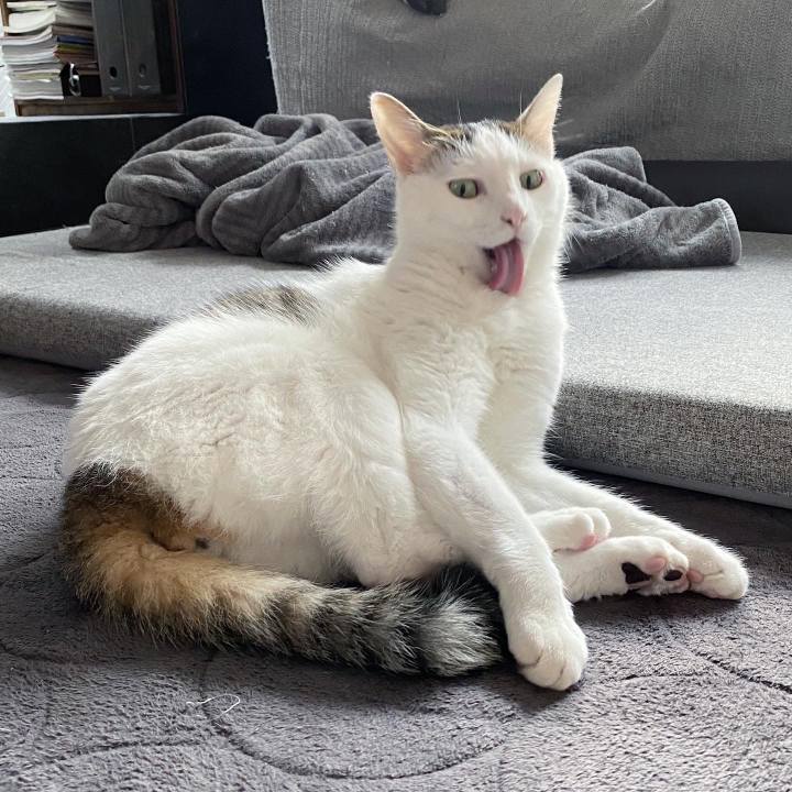 D6d78f74 cfd3 4582 b088 b4453885dbe4 1576639373912