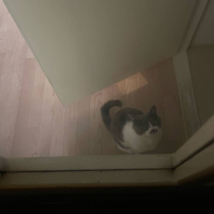 D6d7a0cd e571 4a7a 822c 3a245f0da1dc 1705035619061