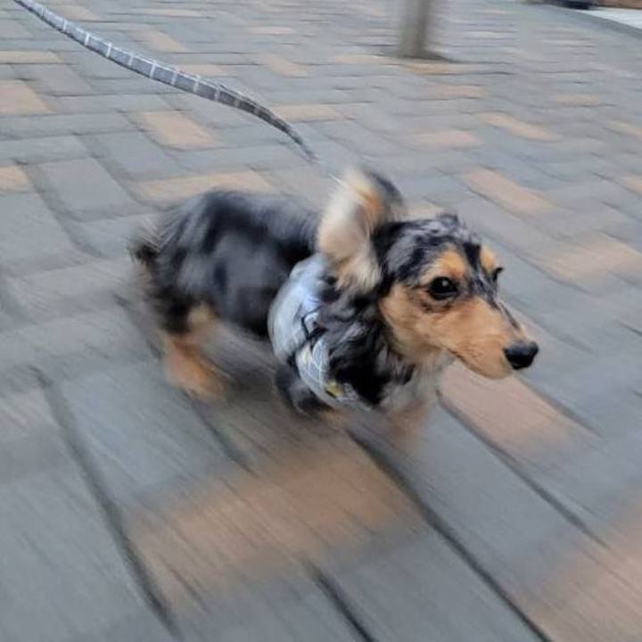 D6d7f06e b110 4b6c a50c 21c56704e0c9 1706782329510