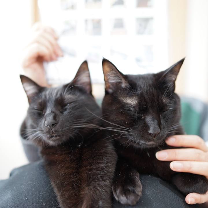 D6d83923 8539 4805 b062 9181e1dd5070 1550806376430