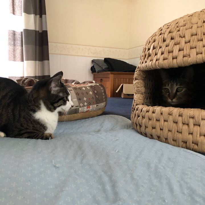 D6d85e61 b2ed 4ed1 95f1 d1509cd9f494 1528558737431