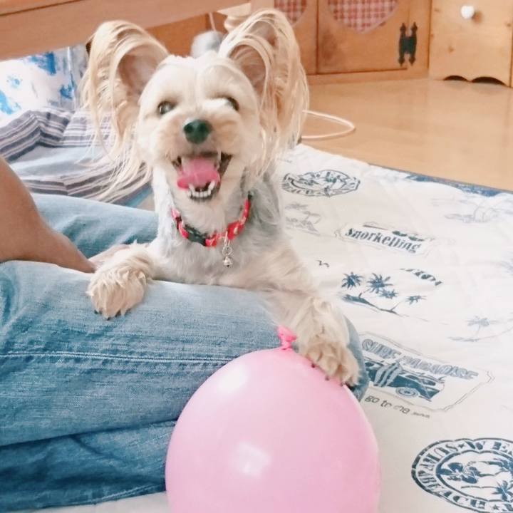 D6d860cc cfe3 4e80 be38 a182acbec69e 1528987634153