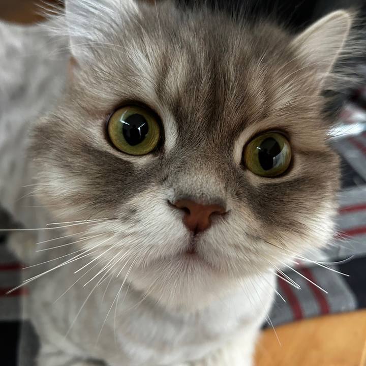 D6d87645 3cfa 45b7 8f0b 0b7013eb592d 1688066322175