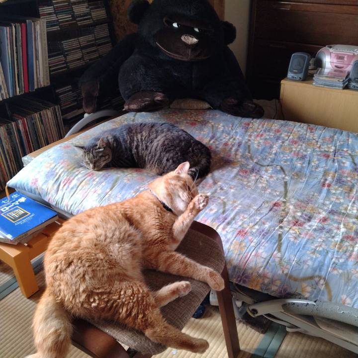 D6d8c313 cebd 43a6 8cfd 03eca35076e6 1690075201668