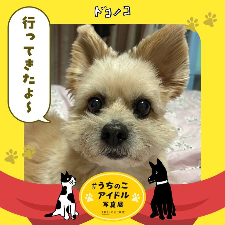 D6d8c3f3 eb3a 4fe2 be30 dc1dd7a628c4 1761115406585