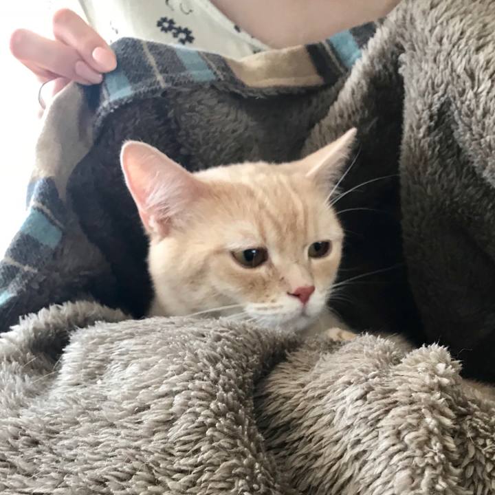 D6d8d579 754b 40ad 8070 ee4ea1ac7ae8 1529820308054