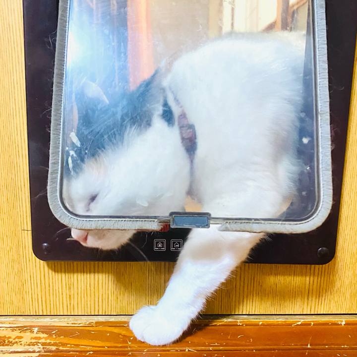 D6d8d5b2 c8ff 4dcb 9f6b 9dfddb181f3d 1675372988292