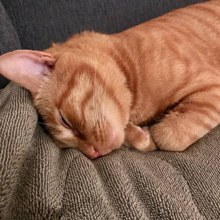 D6d928b1 f887 4c81 a506 50f3c9c15803 1605796452536