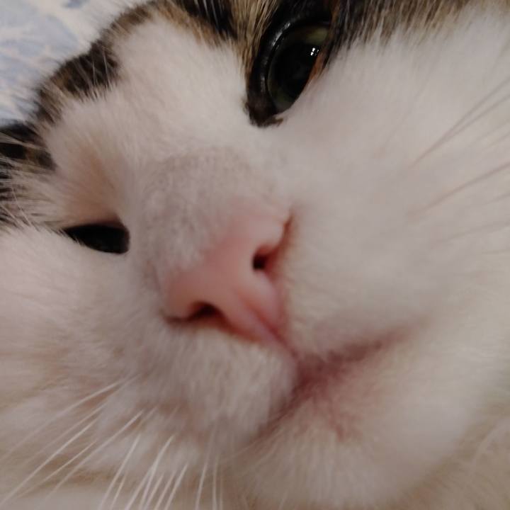 D6d932ed 88df 45d7 ac9a 56a07e10311f 1758715937479