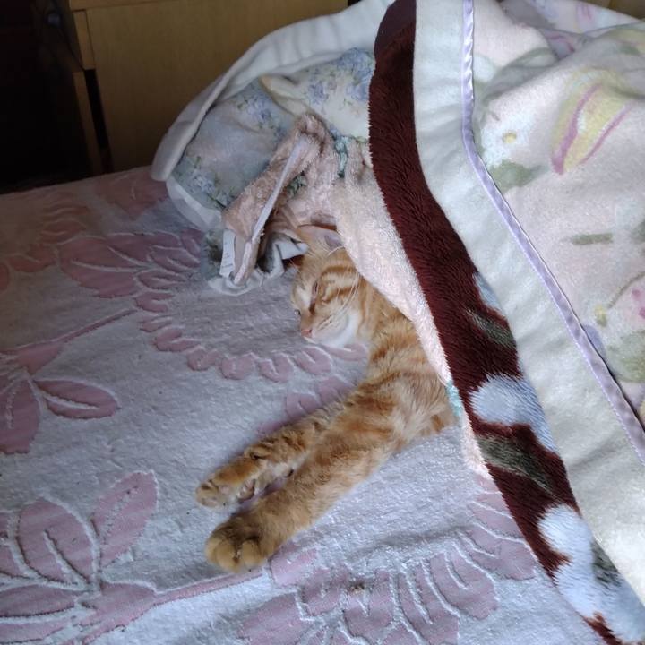 D6d95a3c 6990 4b4a b921 fbd64f3637e1 1682631251933