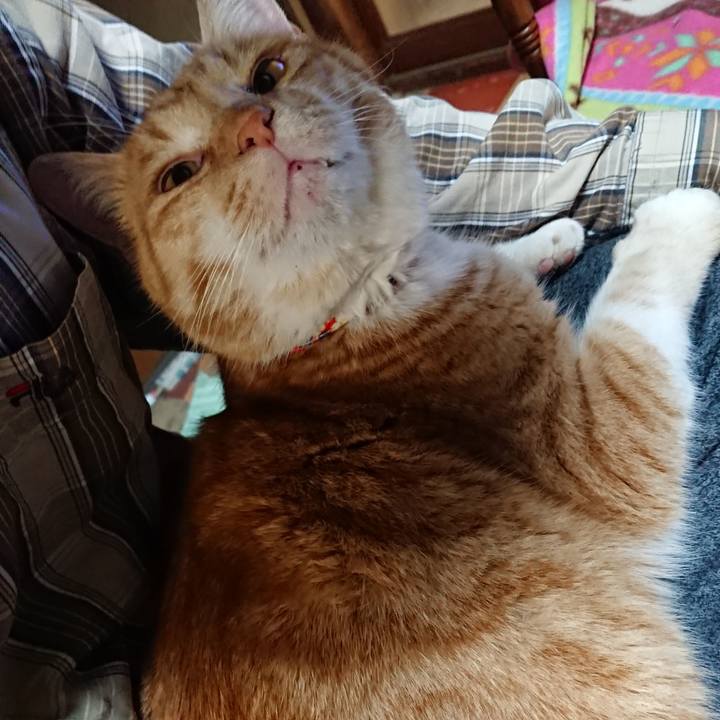 D6d9680b ba45 41cd 8570 72dcecafa5e9 1578995452224