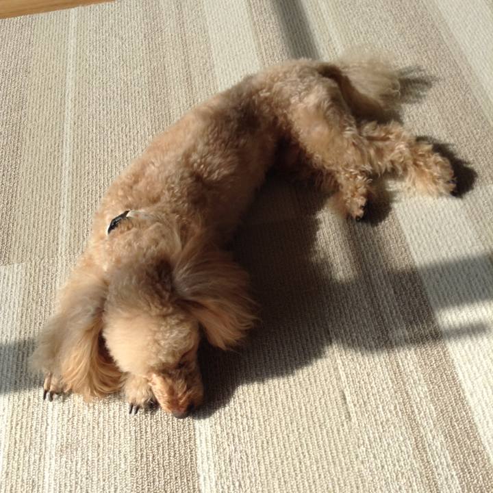 D6d96939 a7c0 4e1e 89b1 2cc7846d5829 1519435647055