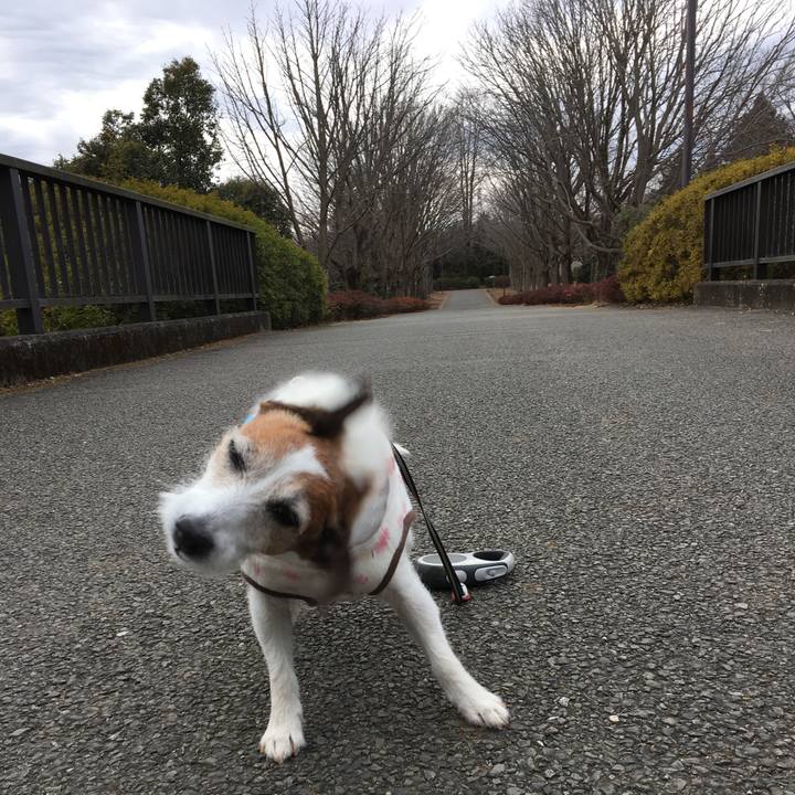 D6d98ef2 b16d 4587 8a19 fcb2a8eee005 1643585107935