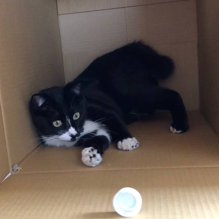 D6d9af19 befe 4fd4 91c1 af59babbb550 1524800662706