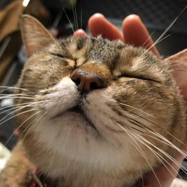 D6d9c3bf 71ab 4f7d 82e5 1c0a03258116 1516276274691