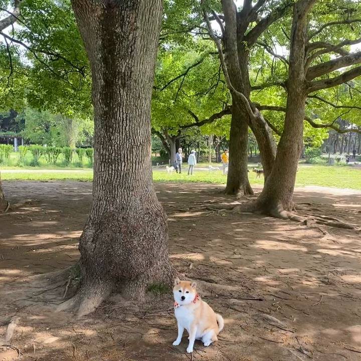 D6d9cec7 89bb 4b99 ae59 d32c9a956f07 1620623473426