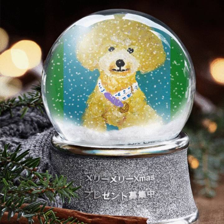 D6da01a4 1c8c 47c3 a529 96a3a249cef4 1543498634037