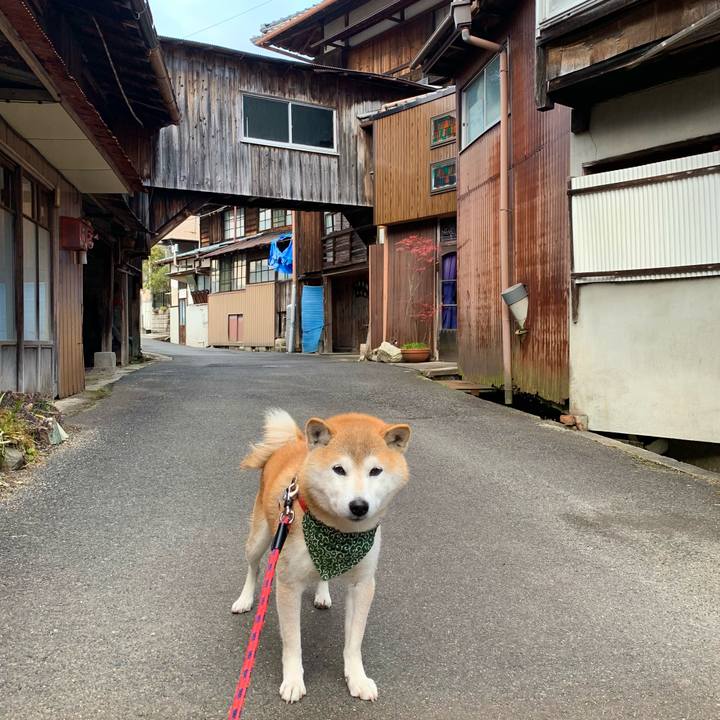 D6da0d22 9854 417d bd20 7215c75bb2cf 1677151156753