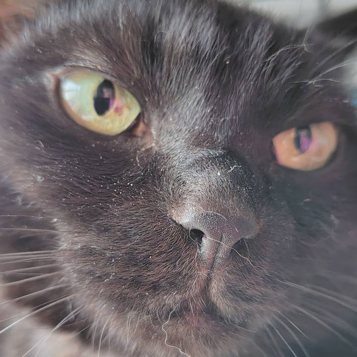 D6da59bd 4d1b 4053 acc9 005d1474a52b 1748038541479