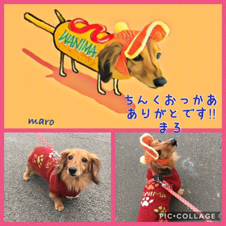 D6da9937 2807 4fc8 b57b 572c1a1e686e 1519904535286