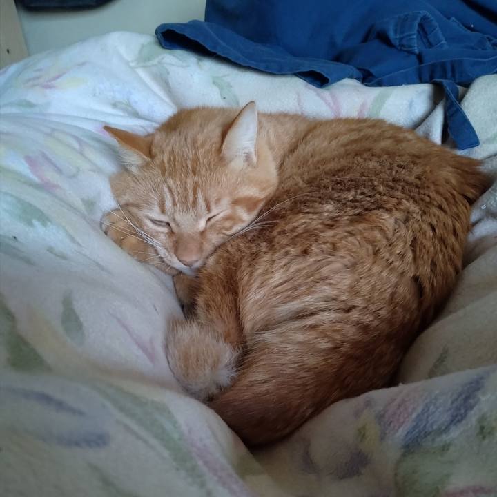 D6dac8c4 4959 4d9b 92b2 ad8e45985035 1703054838158