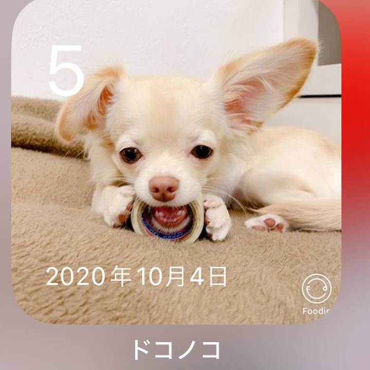 D6dad296 bdc7 4b22 9a07 2d0580971bf7 1728091958097