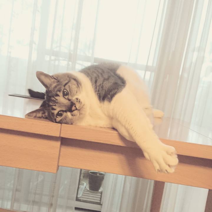 D6db2b30 f30e 46e3 b991 328951301876 1533341654027