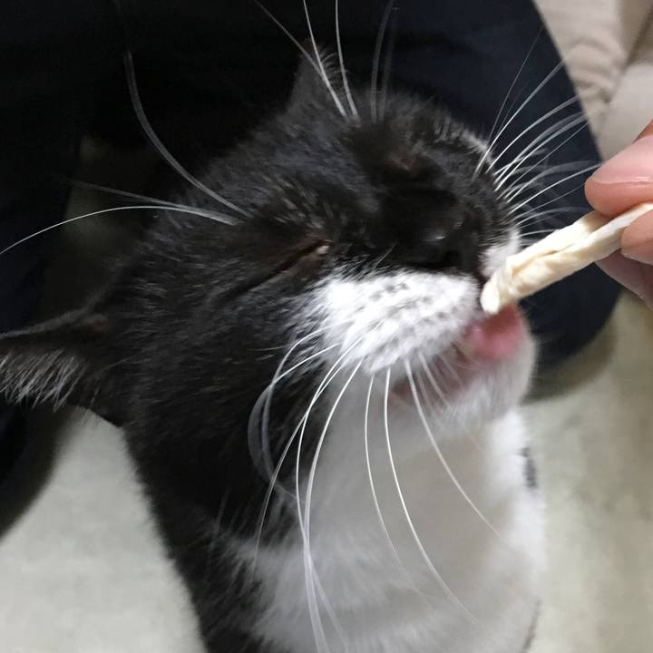 D6db3ac0 016c 46b2 a8e9 e43dede6ced3 1529461607366