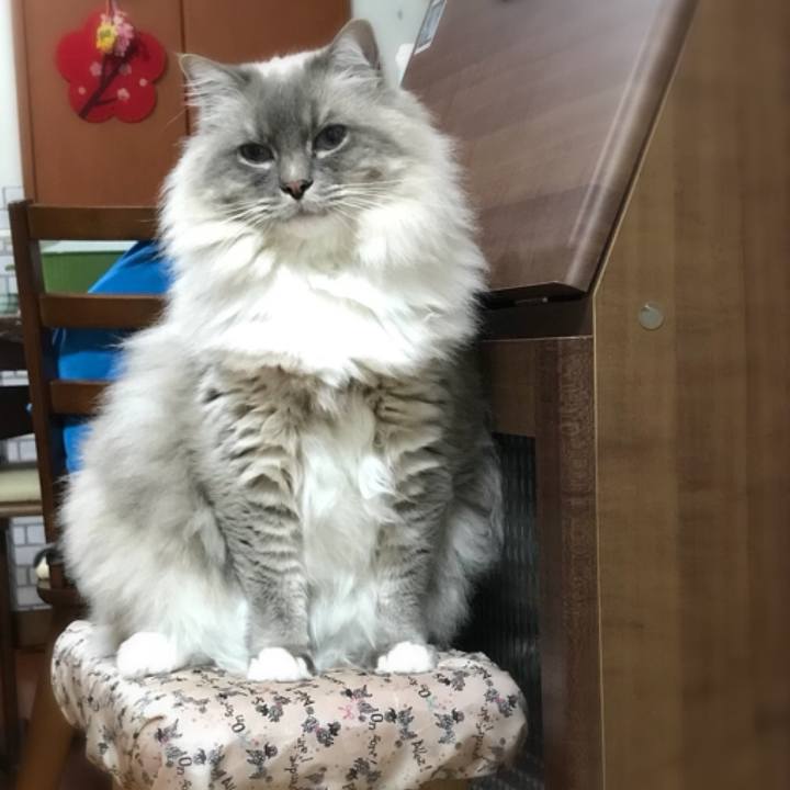 D6db5c92 699e 4681 9ab2 a3969e71d9dd 1516313413675