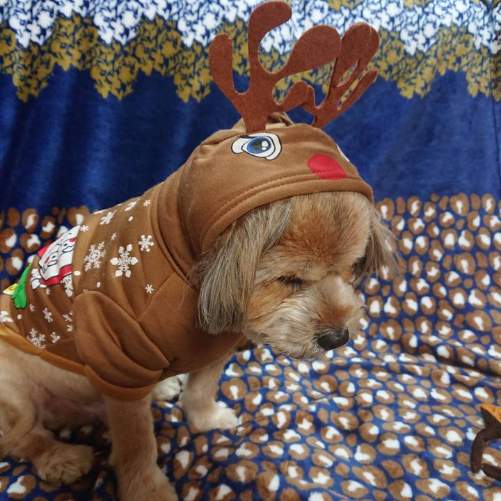 D6db6ac2 94e5 4c45 8bbf 97bbf59d6de0 1608803980948