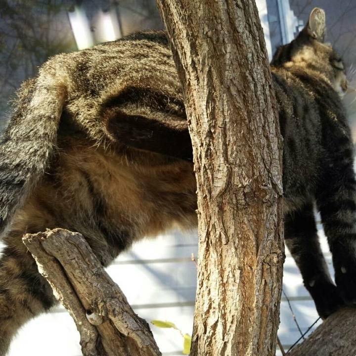 D6db7440 ad50 48f1 acd5 176f0394c275 1511588603269