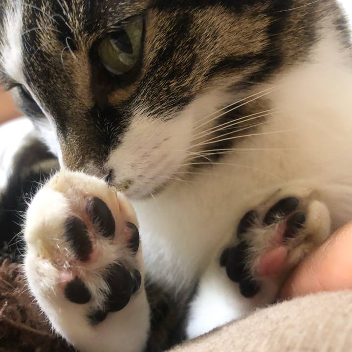 D6db797f c047 4300 aaa6 b2b6f5ba1131 1649448076410